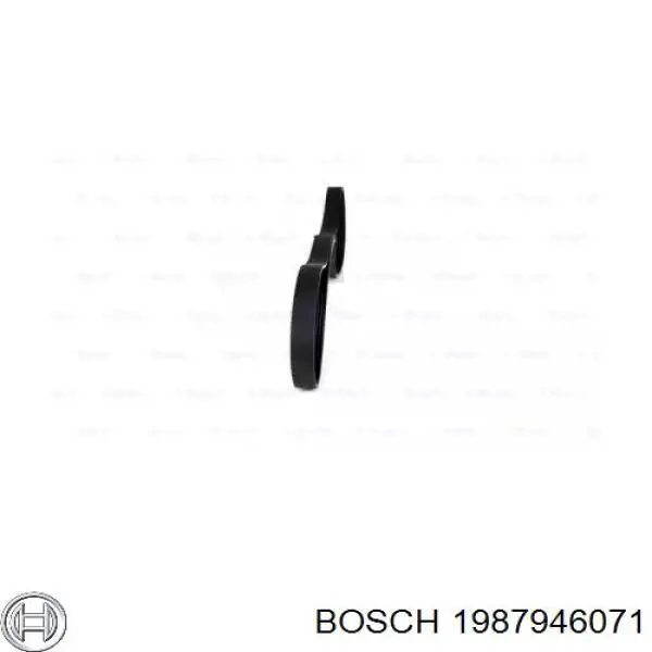 Comprar 1987946071 Bosch Correa trapezoidal