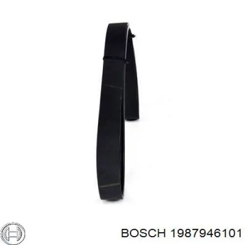 1987946101 Bosch correa trapezoidal