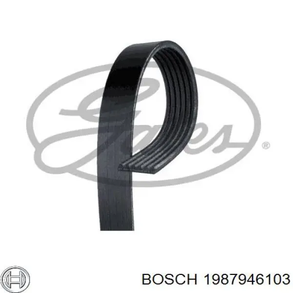 1987946103 Bosch correa trapezoidal