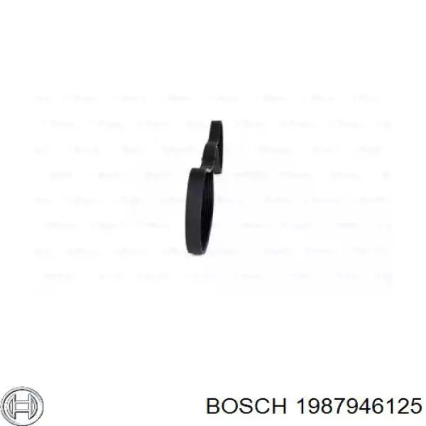 1987946125 Bosch correa trapezoidal