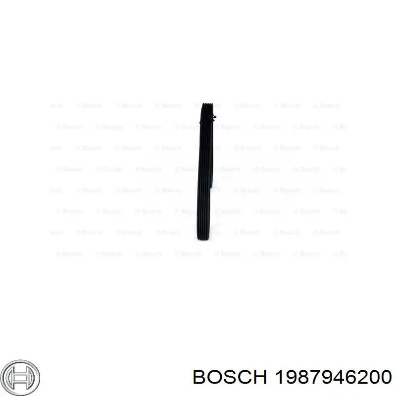 Correa de transmisión trapezoidal Bosch 1987946200 precio, desde 49,46 EUR