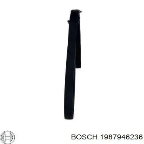 1987946236 Bosch correa trapezoidal