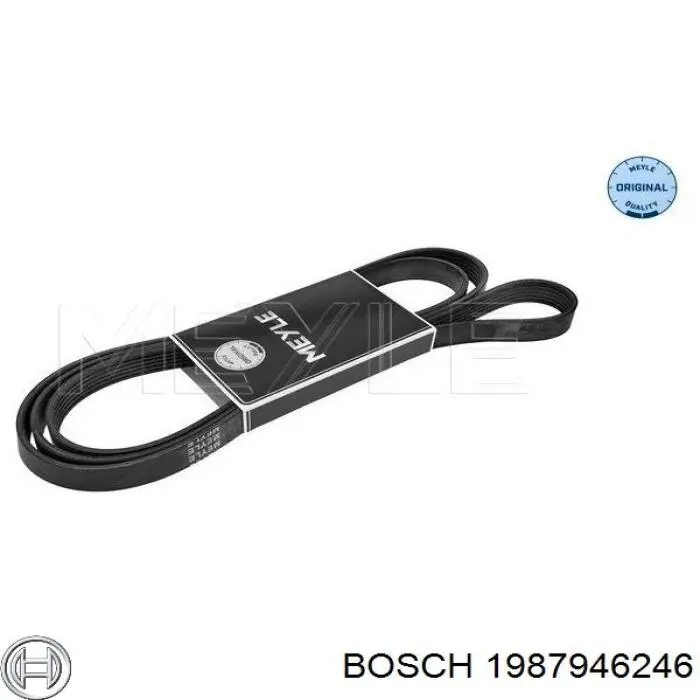 Correa de transmisión trapezoidal Bosch 1987946246 precio, desde 50,48 EUR