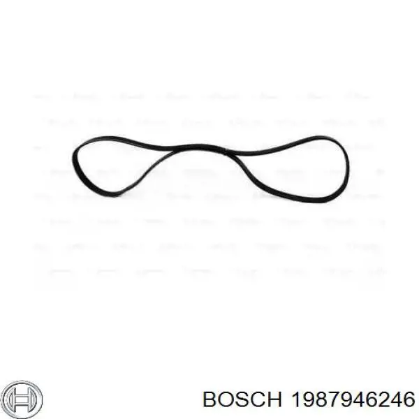 1987946246 Bosch correa trapezoidal
