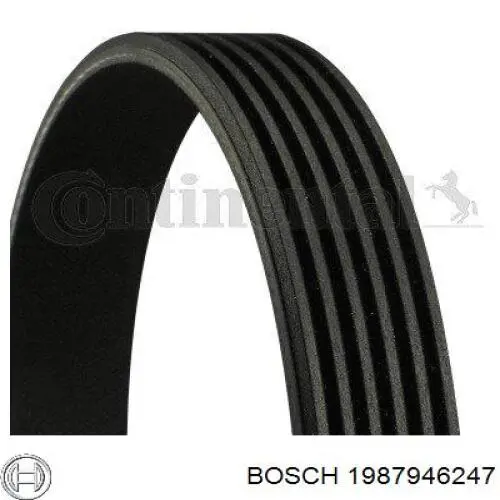 Correa de alternador 117200593R Renault (RVI)