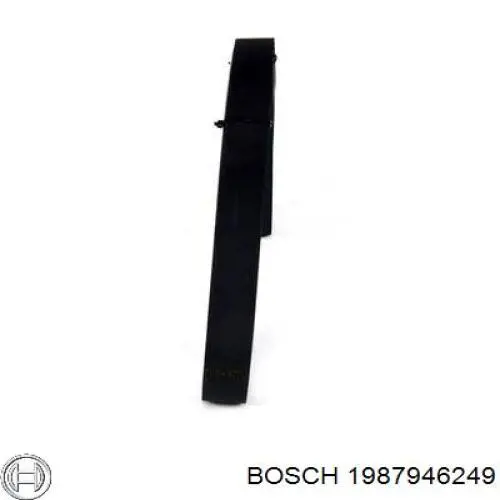 1 987 946 249 Bosch correa trapezoidal