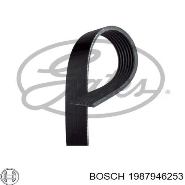 Correa accesorios Mercedes A2819931696