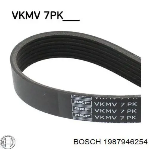 Comprar 1987946254 Bosch Correa trapezoidal