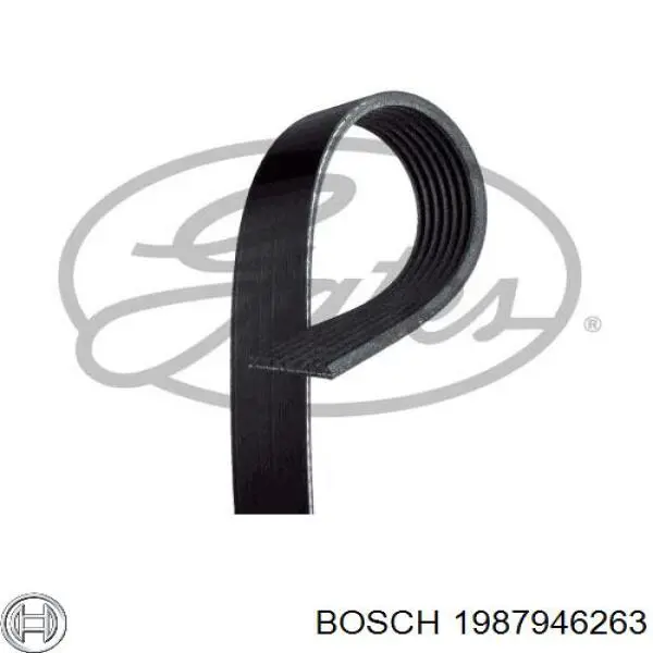 1987946263 Bosch correa trapezoidal