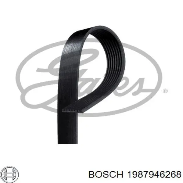 1987946268 Bosch correa trapezoidal
