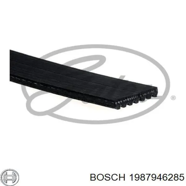 Comprar 7PK2711 Ford Correa trapezoidal