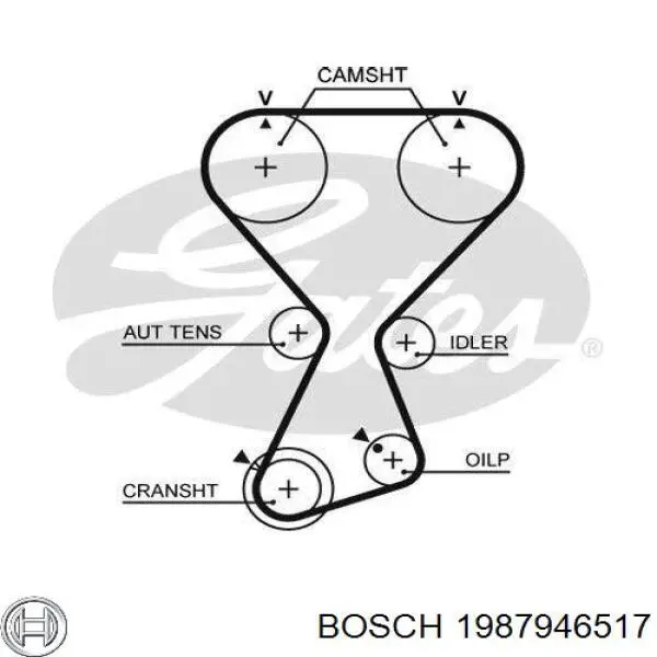 Kit correa de distribución KIA Sorento 1 JC
