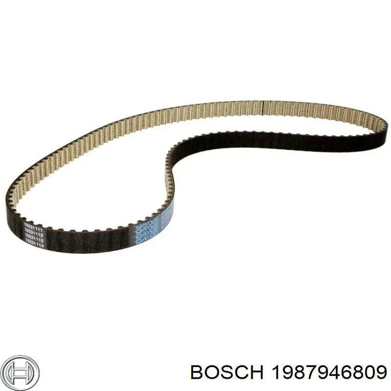 Comprar 1987946809 Bosch Correa distribución