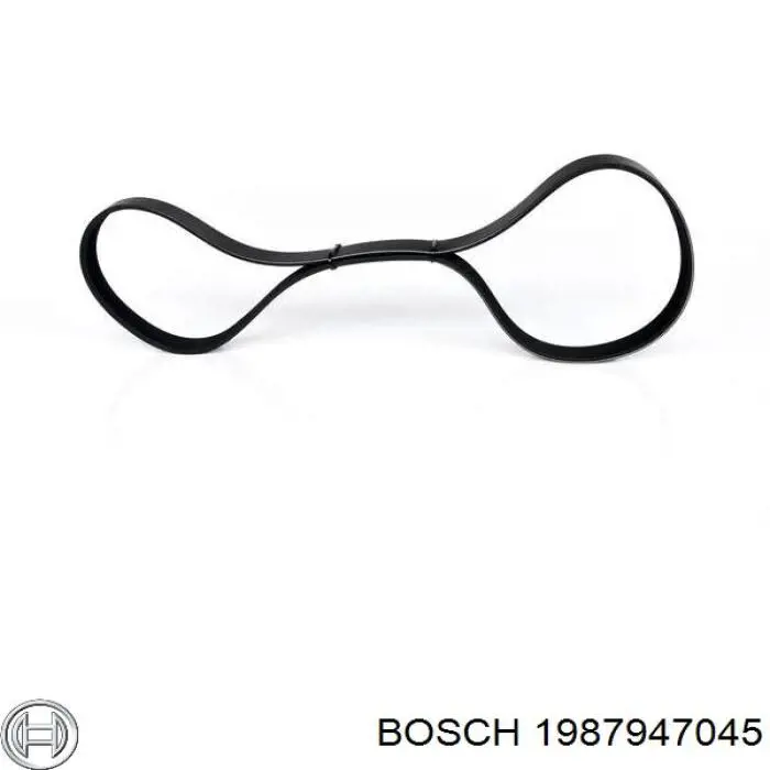 Comprar 8PK1183 Continental/Siemens Correa trapezoidal