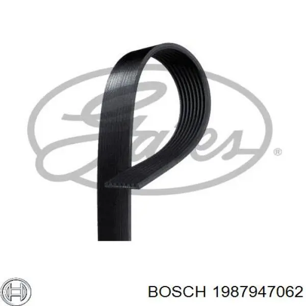 Correa de alternador 1987947062 Bosch