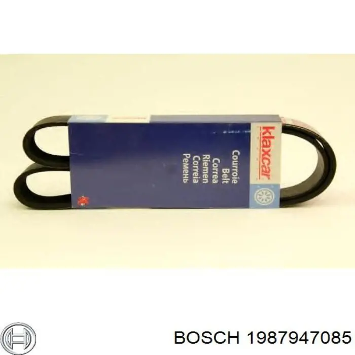 Correa de transmisión trapezoidal Continental/Siemens 9PK1881 precio, desde 17,82 EUR