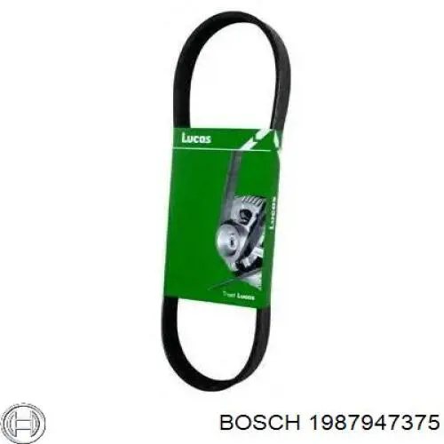 Correa de alternador 1987947375 Bosch