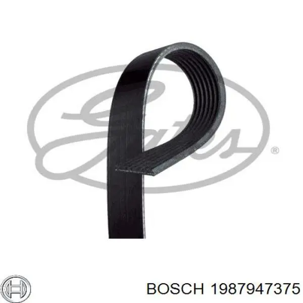 1987947375 Bosch Correa poly v