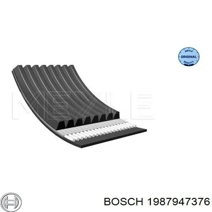 Correa de alternador 8PK1260 Continental/Siemens