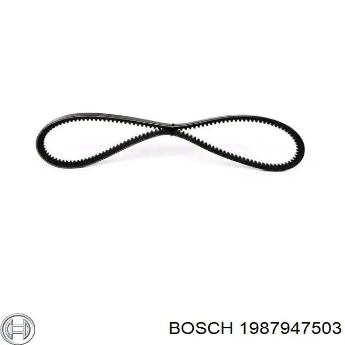 1987947503 Bosch correa trapezoidal