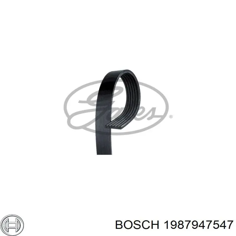 1987947547 Bosch Correa poly v