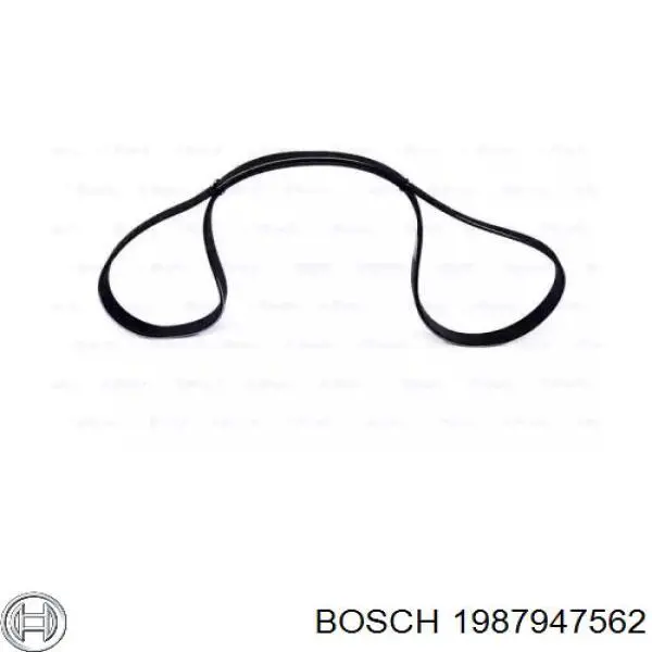 1987947562 Bosch correa trapezoidal