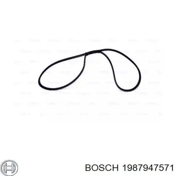 1 987 947 571 Bosch correa trapezoidal