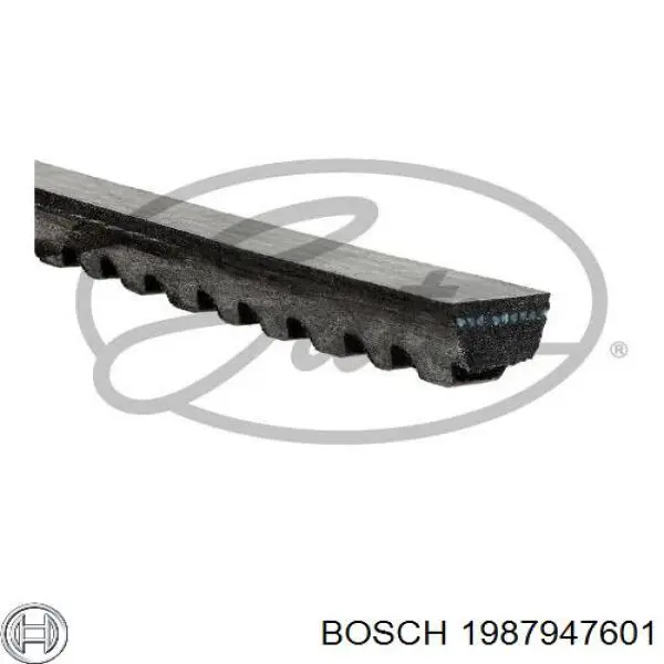 Comprar 1987947601 Bosch Correa trapezoidal