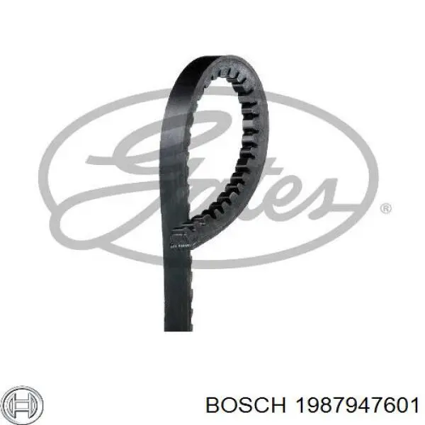 Correa accesorios Bosch 1987947601