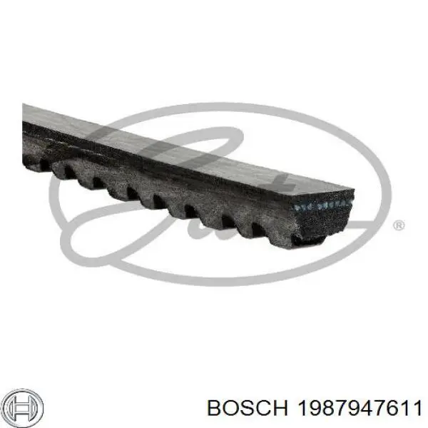 1987947611 Bosch Correa poly v