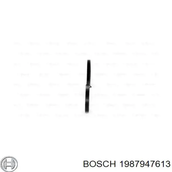 Correa de alternador 1987947613 Bosch