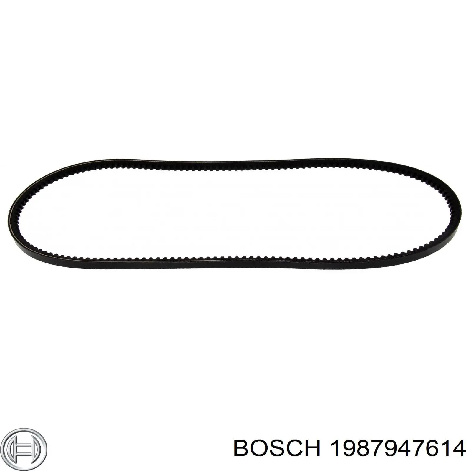Correa de alternador 1987947614 Bosch