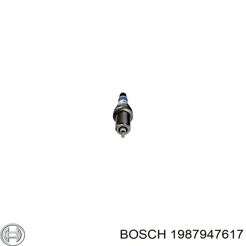 1987947617 Bosch Correa poly v