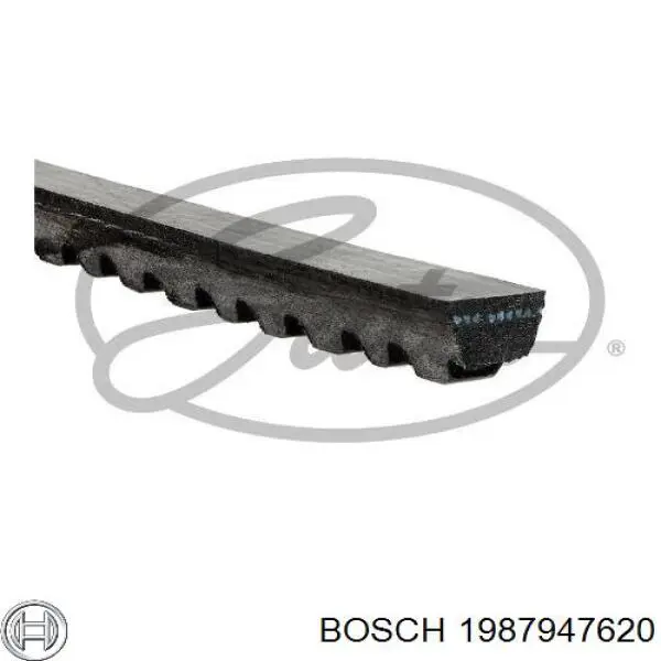 Correa de transmisión trapezoidal Bosch 1987947620 precio, desde 4,67 EUR