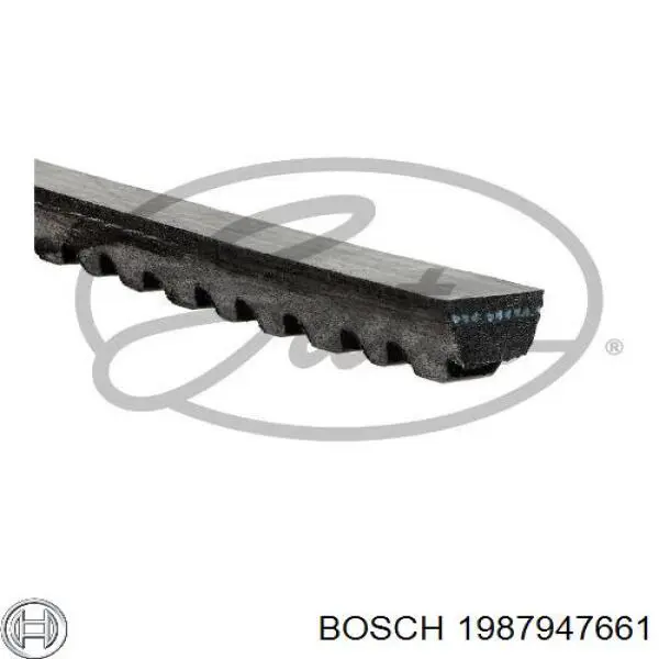 Comprar 1987947661 Bosch Correa trapezoidal