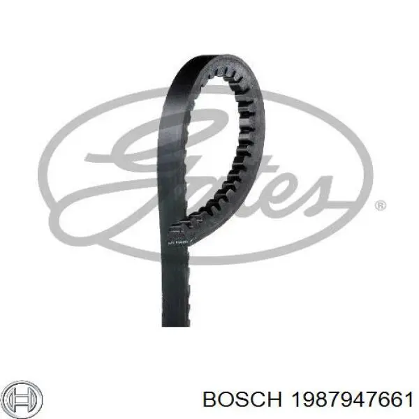 1987947661 Bosch Correa poly v