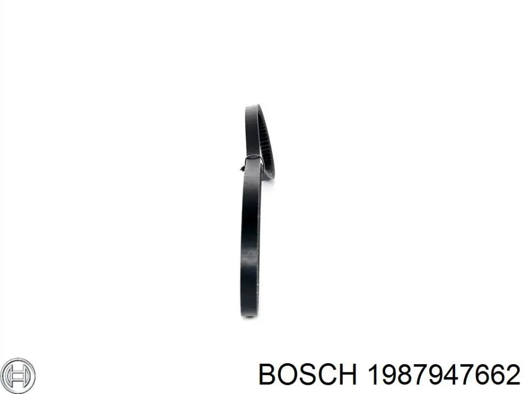 Correa de alternador FB13X1175 INA