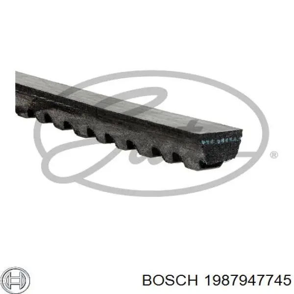 Correa de alternador 1987947745 Bosch
