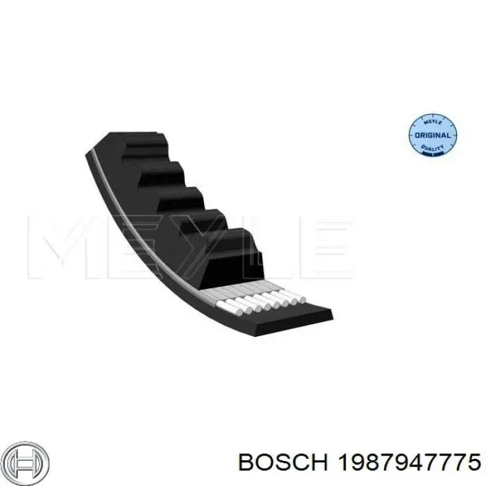 1987947775 Bosch correa trapezoidal