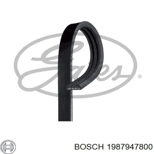 1987947800 Bosch correa trapezoidal