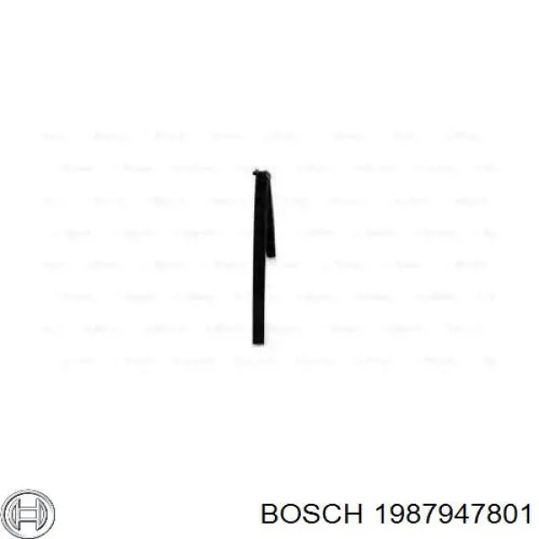 1987947801 Bosch correa trapezoidal