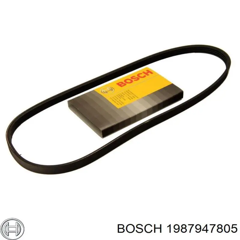 1 987 947 805 Bosch correa trapezoidal