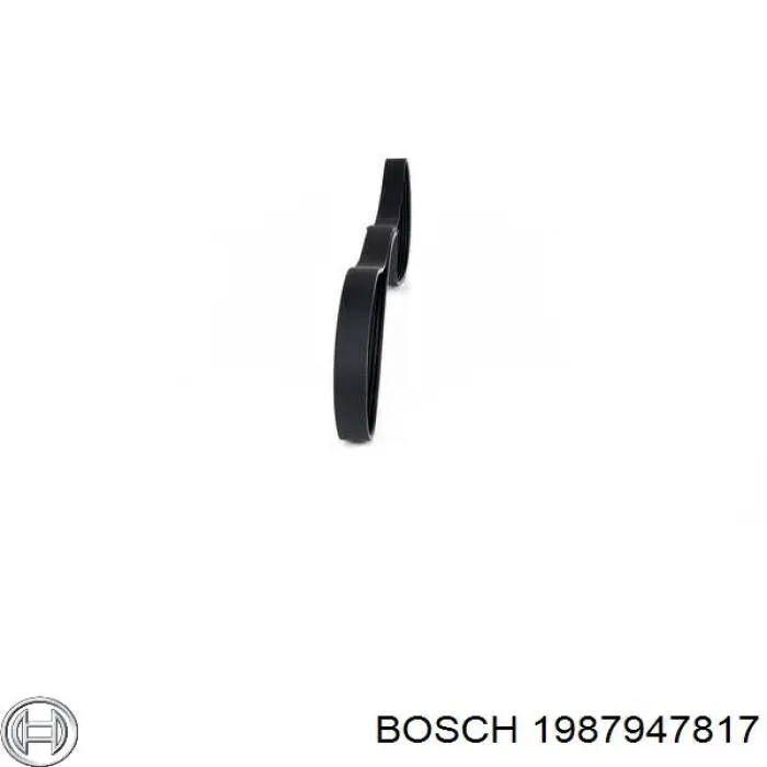 1 987 947 817 Bosch correa trapezoidal
