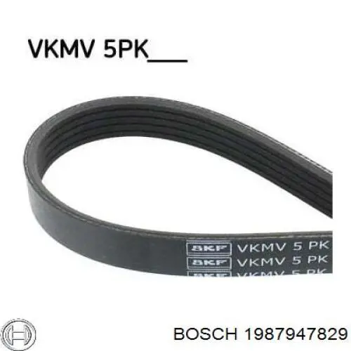 Comprar 1987947829 Bosch Correa trapezoidal