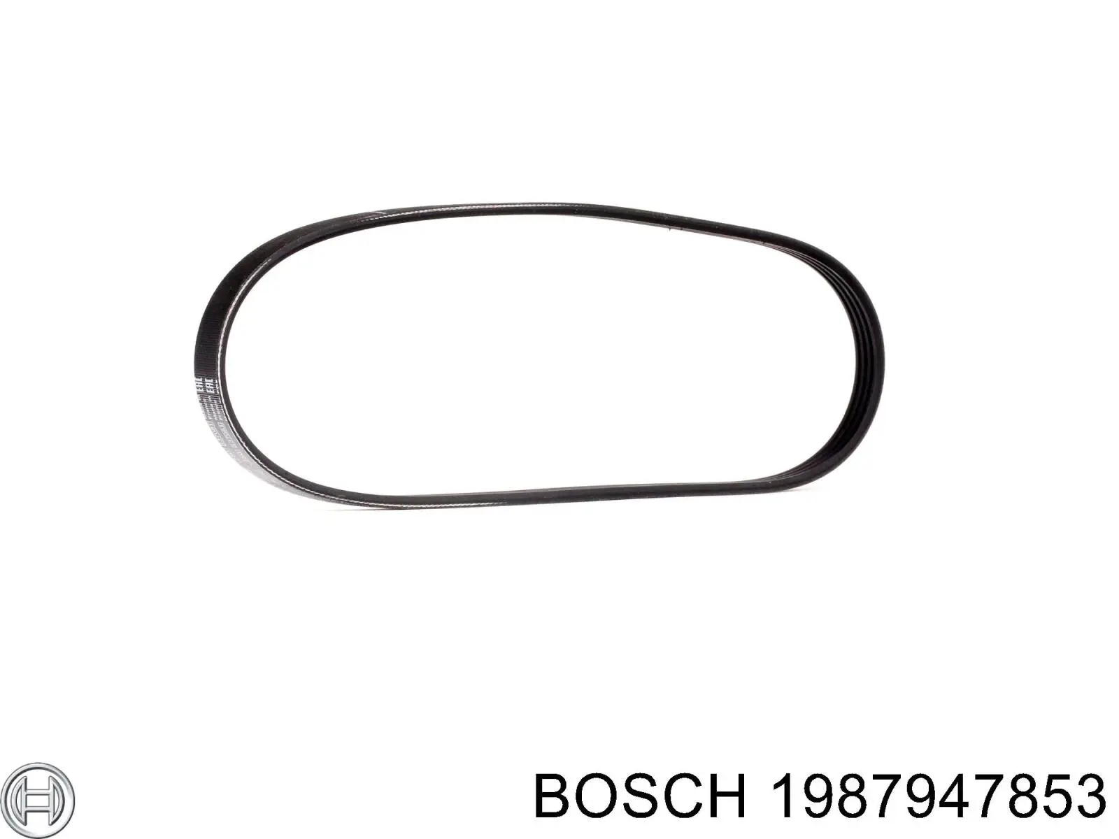 Correa de alternador 1987947853 Bosch