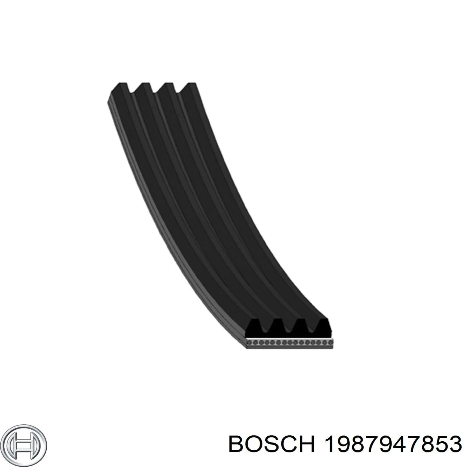 Correa de alternador 1987947853 Bosch