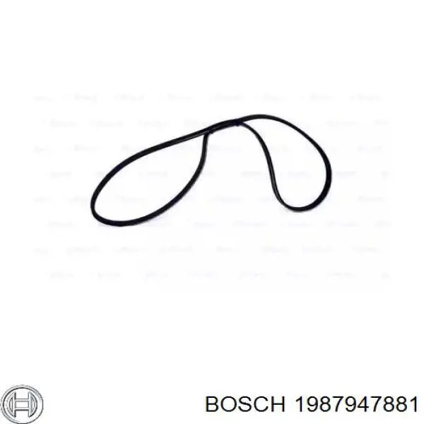 1987947881 Bosch correa trapezoidal
