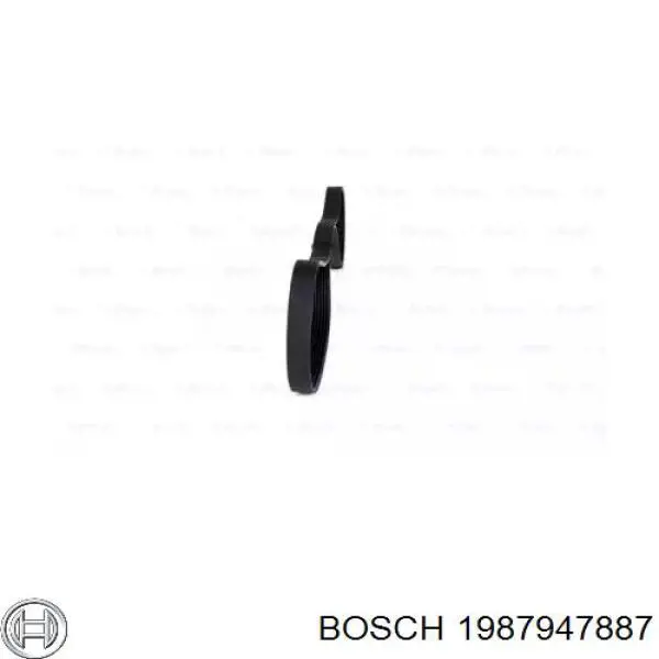 1987947887 Bosch Correa poly v