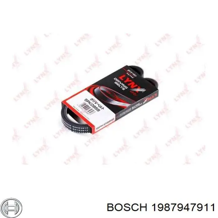 Correa de alternador 1987947911 Bosch