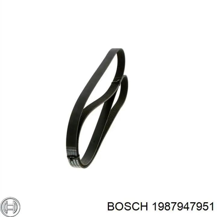 Correa trapezoidal Renault 21 S48